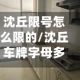 沈丘限号怎么限的/沈丘车牌字母多少