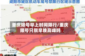 重庆限号早上时间限行/重庆限号只限早晚高峰吗