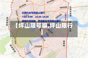 【坪山限号嘛,坪山限行】