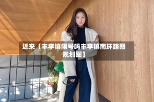 近来【丰李镇限号吗丰李镇南环路图规划图】
