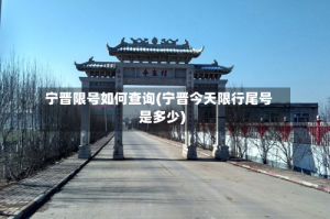 宁晋限号如何查询(宁晋今天限行尾号是多少)