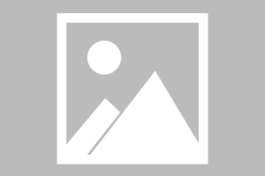 北京12.4限号/北京12月尾号限行