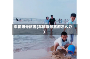 车辆限号旅游(车辆限号旅游怎么办)