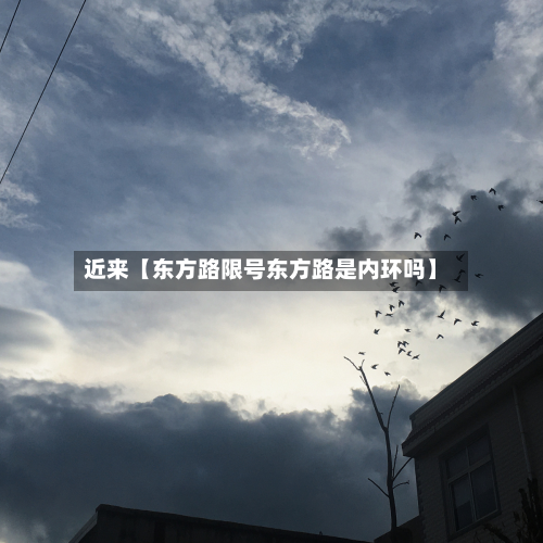近来【东方路限号东方路是内环吗】-第2张图片
