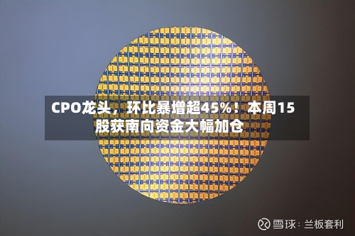 CPO龙头，环比暴增超45%！本周15股获南向资金大幅加仓-第1张图片