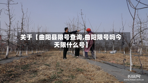 关于【曲阳县限号查询,曲阳限号吗今天限什么号】-第3张图片
