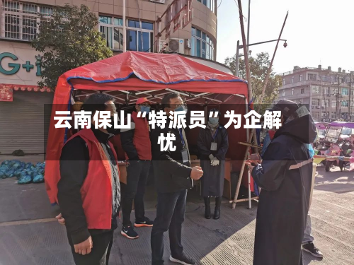 云南保山“特派员”为企解忧-第1张图片