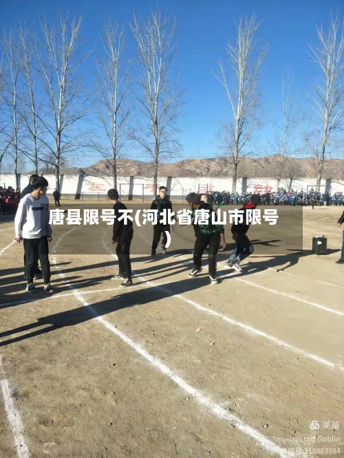 唐县限号不(河北省唐山市限号)-第2张图片