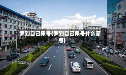 梦到自己限号(梦到自己限号什么意思)-第1张图片