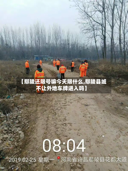 【鄢陵还限号嘛今天限什么,鄢陵县城不让外地车牌进入吗】-第3张图片