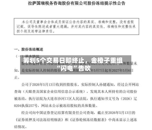 筹划5个交易日即终止，金橙子重组“闪电	”告吹-第2张图片