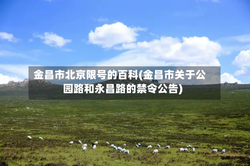 金昌市北京限号的百科(金昌市关于公园路和永昌路的禁令公告)-第1张图片