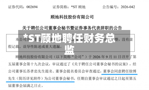 *ST顾地聘任财务总监-第2张图片