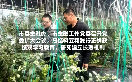 市委金融办、市金融工作党委召开党委扩大会议，总结树立和践行正确政绩观学习教育，研究建立长效机制-第1张图片