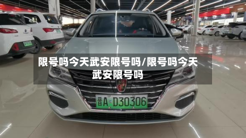 限号吗今天武安限号吗/限号吗今天武安限号吗-第1张图片